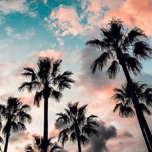 Meet your Posher, Bailee